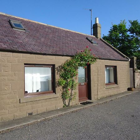 Myrtle Cottage Johnshaven Bagian luar foto