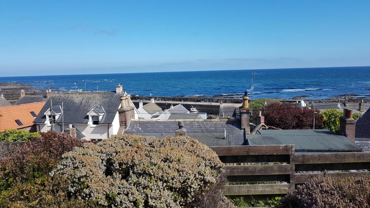 Myrtle Cottage Johnshaven Bagian luar foto